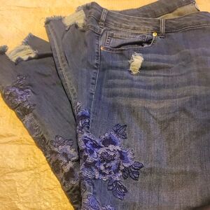 Lane Bryant Blue Jean